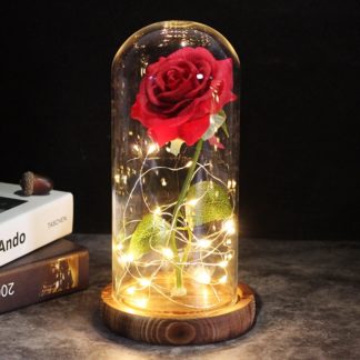 Роза под колпаком из мультфильма «Красавица и Чудовище»